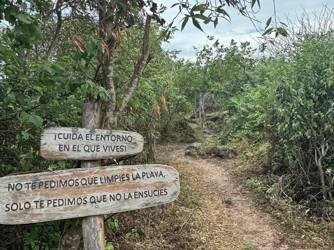 Playa Punta Carola-圣克里斯托瓦尔必去景点
