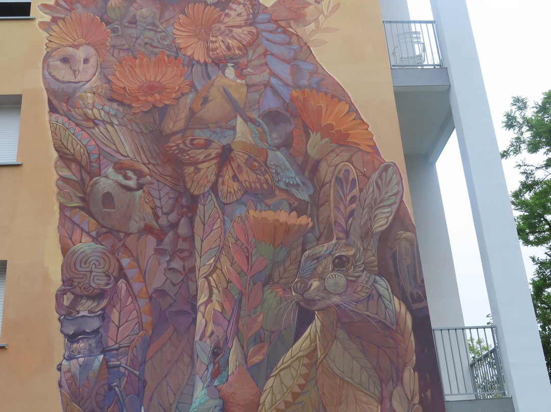Visites Guidée Street Art-滨海布洛涅必去景点