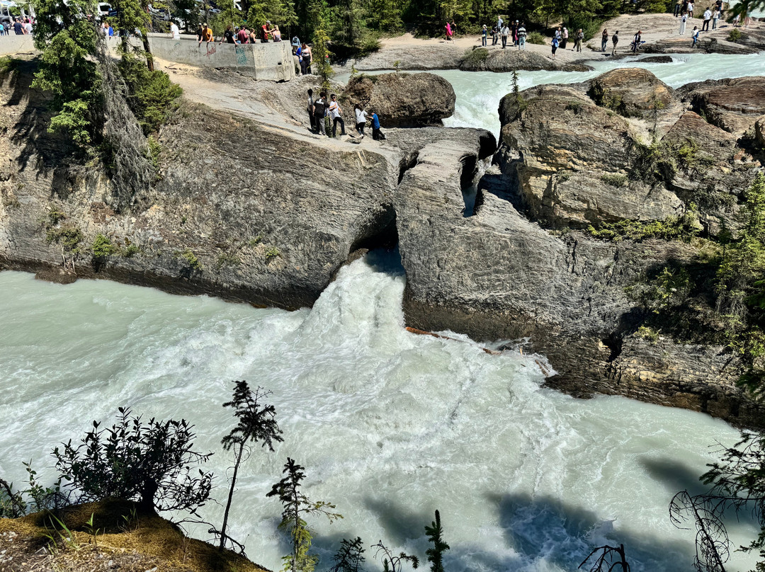 Natural Bridge-幽鹤国家公园必去景点