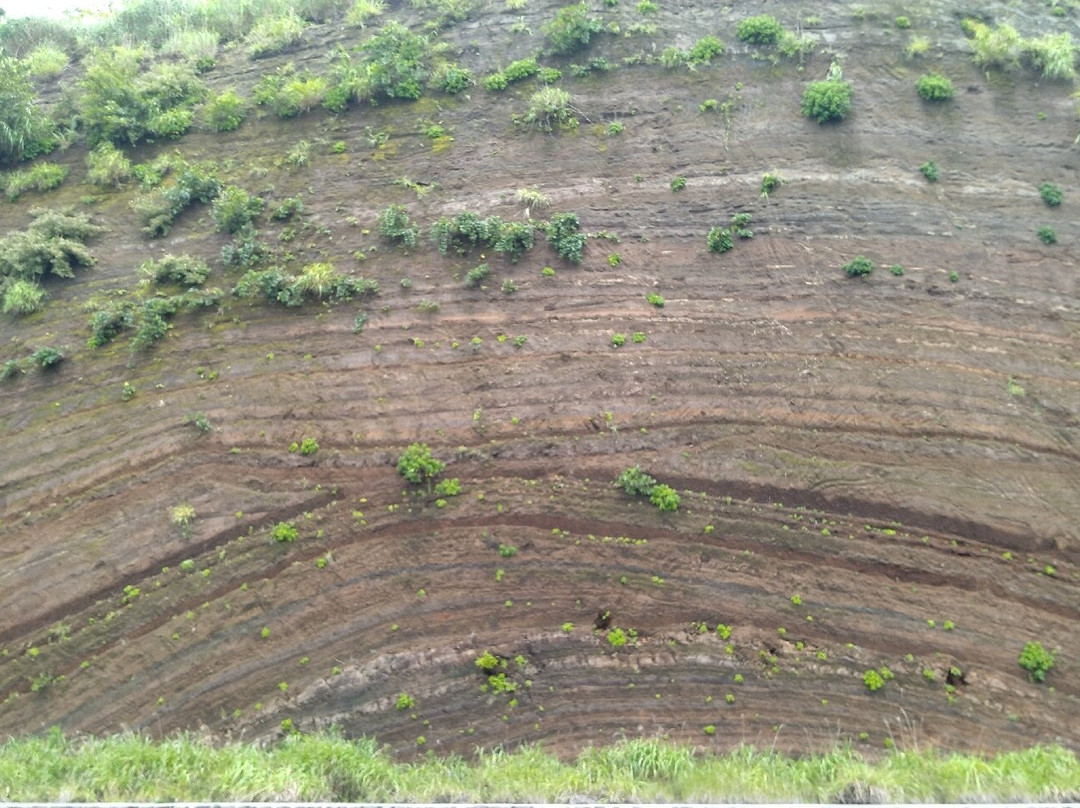 Faulted Strata in Oshima-大岛町必去景点