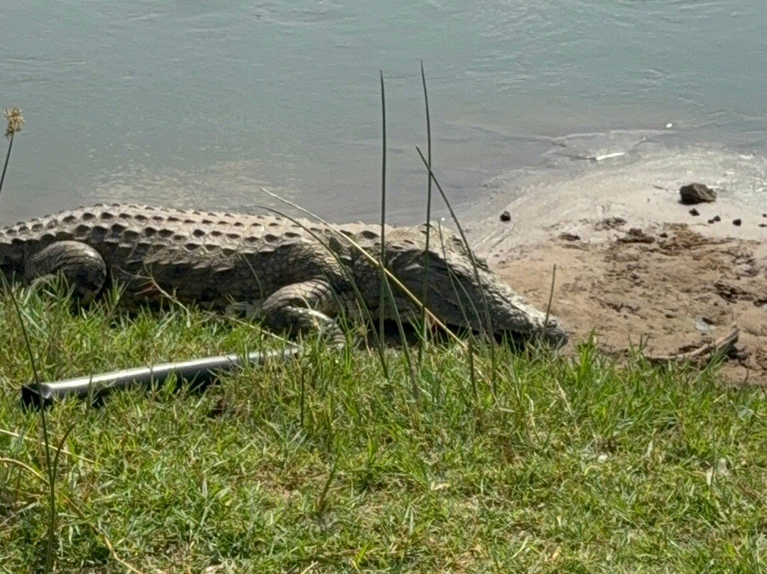 Gattokko - Safari e Tours in Kenya-瓦塔木必去景点
