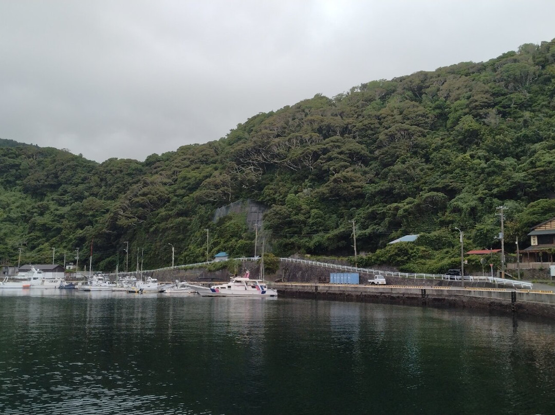 Habu Part-大岛町必去景点