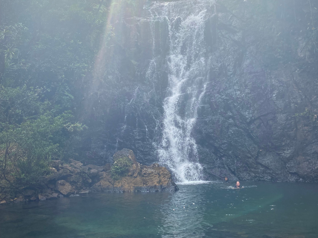 Terra Trek Tours-太平洋港必去景点