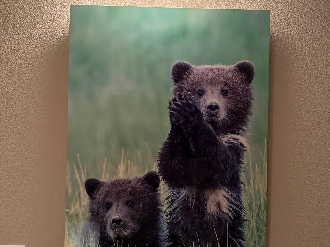 BearHead Photography Gallery-史凯威必去景点