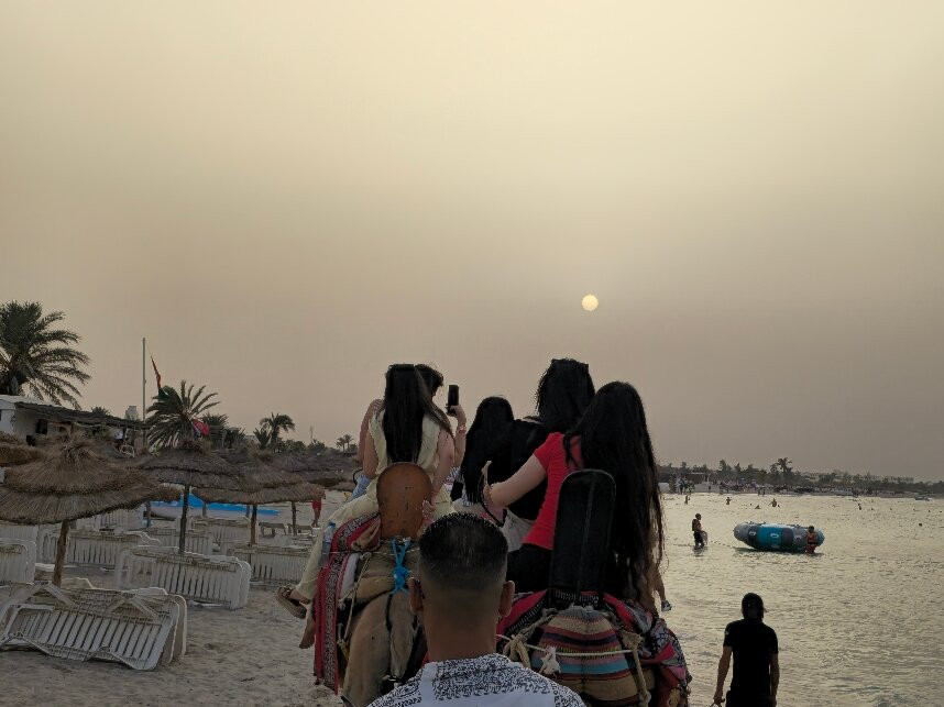 Flamingo Club Quads Djerba-Mezraia必去景点