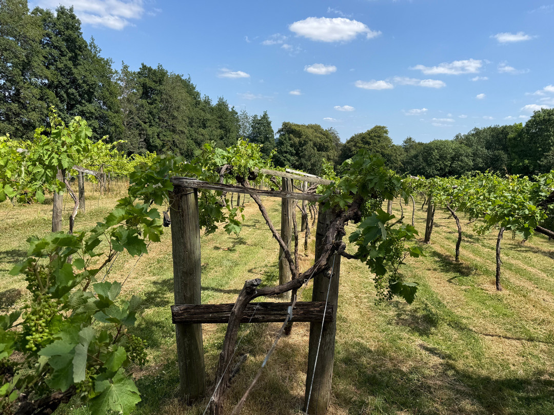 Chiltern Valley Winery & Brewery-泰晤士河畔亨利必去景点