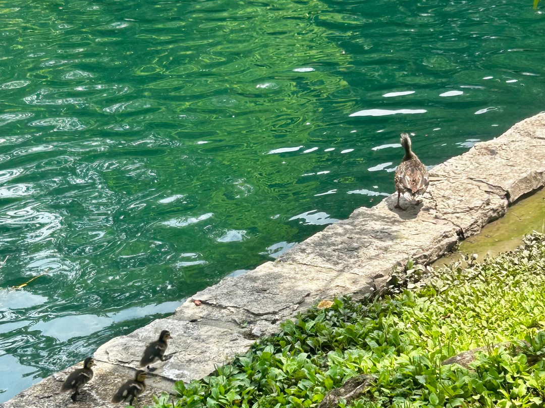 Centennial Park-纳什维尔必去景点
