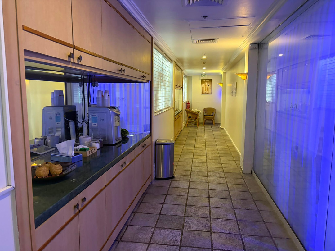 阿丽雅酒店主图