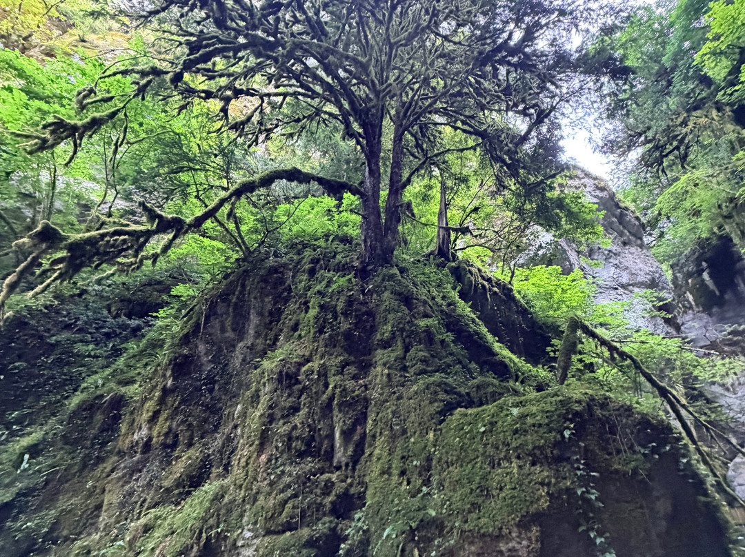 Horma Canyon-Pinarbasi必去景点