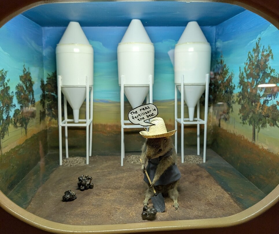 World Famous Gopher Hole Museum-Torrington必去景点