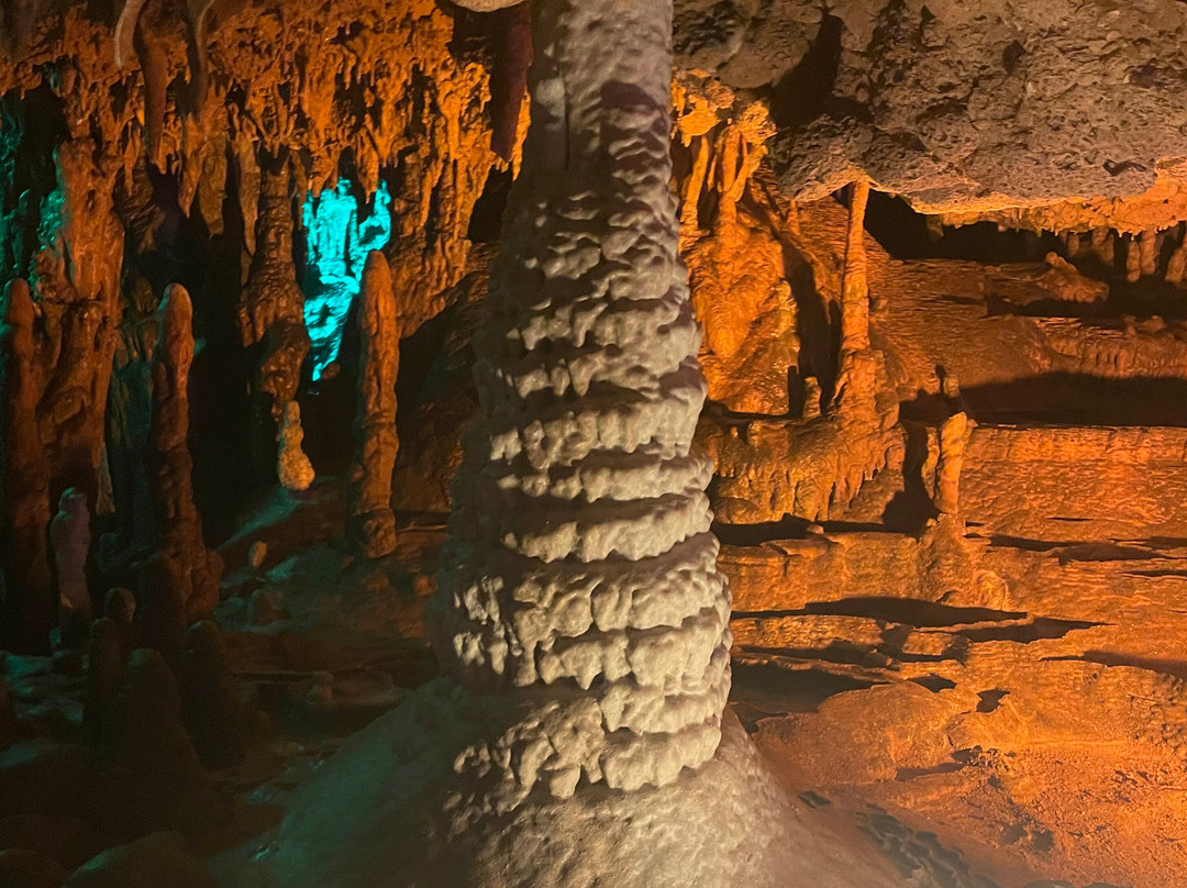 Florida Caverns State Park-Marianna必去景点