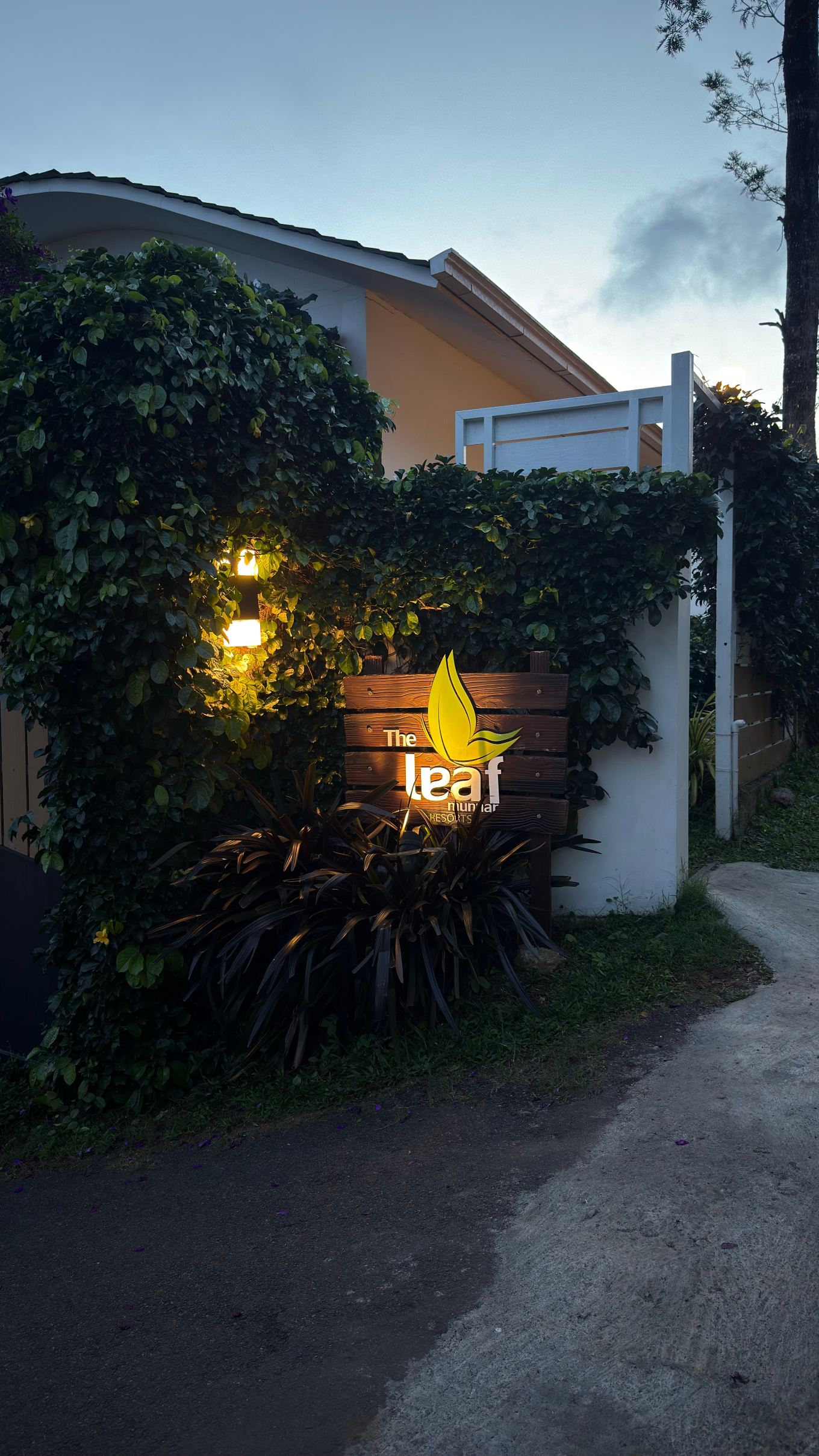 慕那尔落叶酒店-旅行者