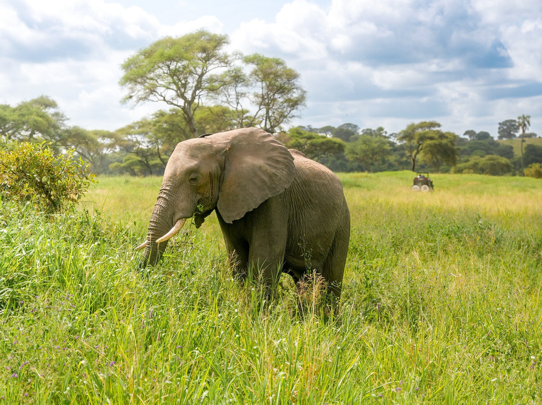 Makasa Tanzania Safaris-莫西必去景点