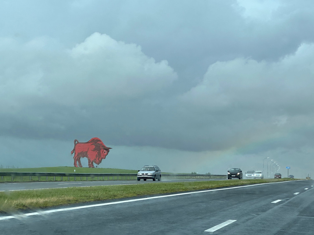 Bison on Route Brest - Minsk-布雷斯特必去景点