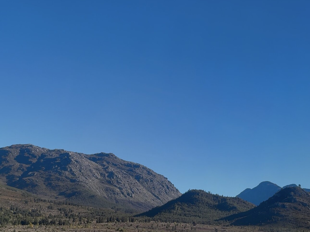 Cape Canopy Tour-Elgin必去景点
