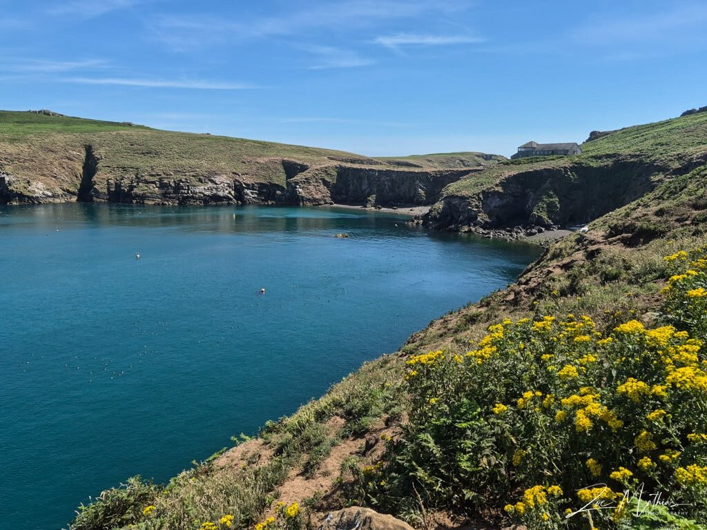 Pembrokeshire Islands Boat Trips-Marloes必去景点