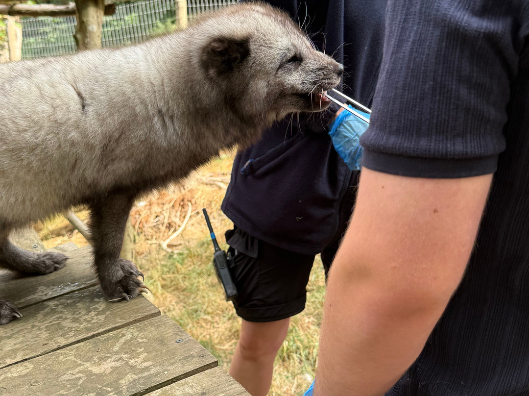 Jimmy's Farm & Wildlife Park-伊普斯威奇必去景点