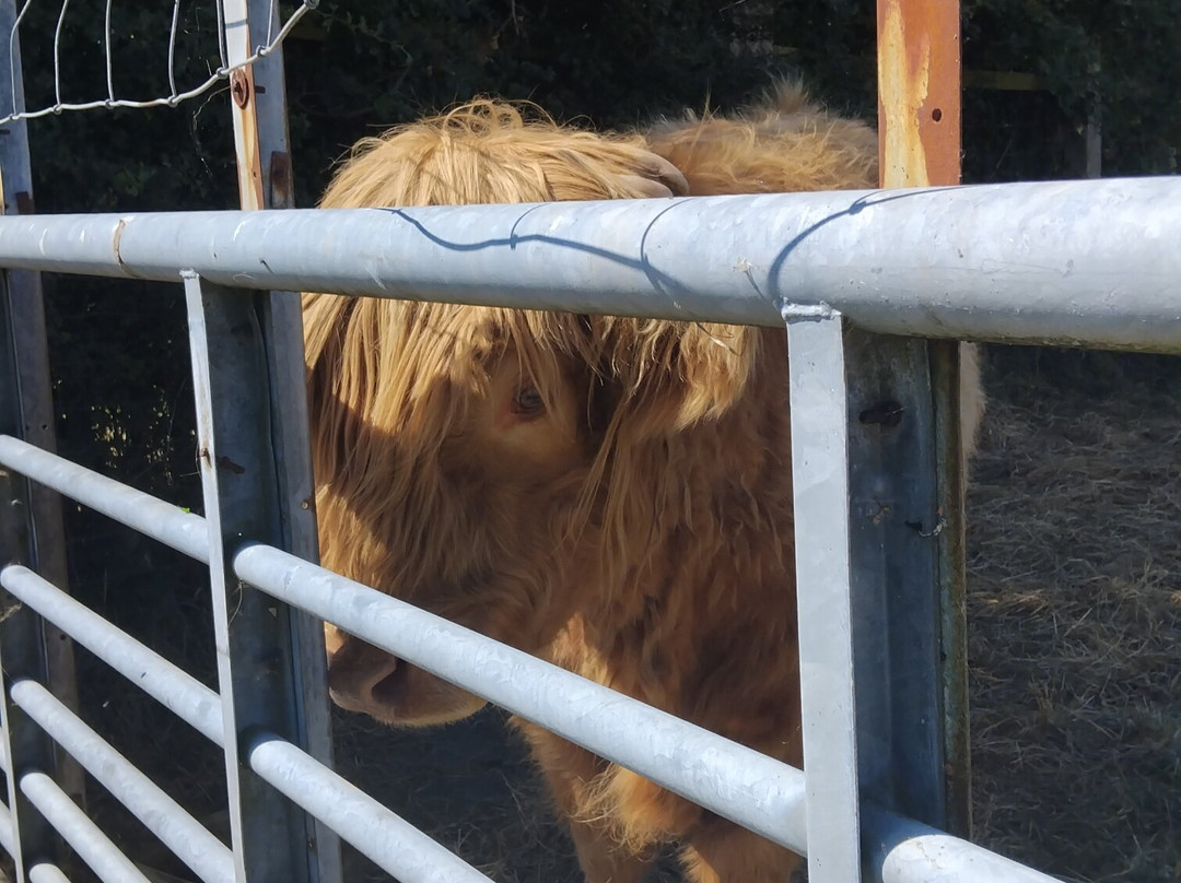 Farmer Parrs Animal World-Fleetwood必去景点