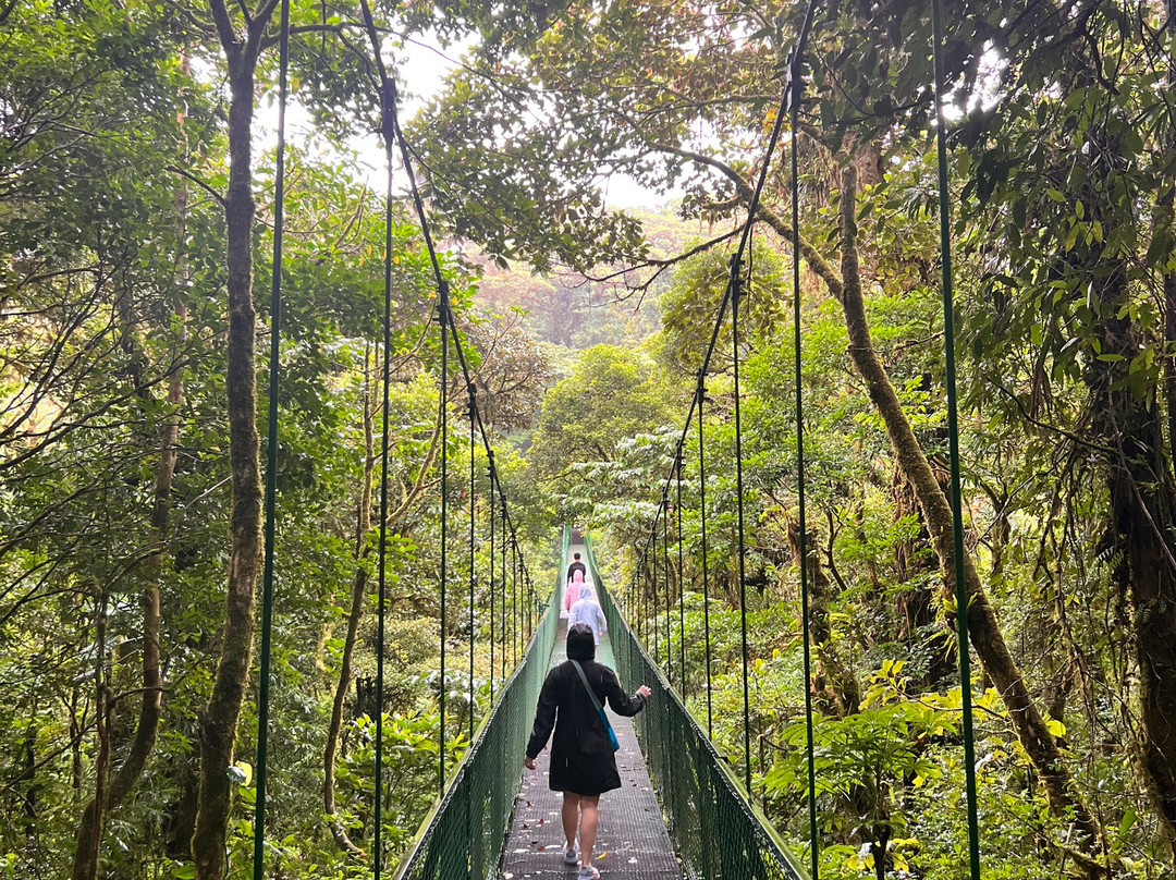 My Costa Rica-圣何塞必去景点