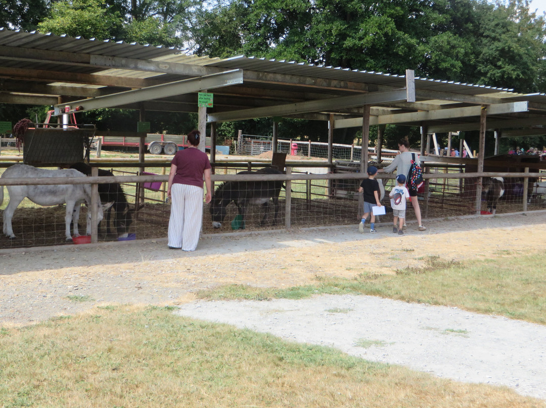 Newbridge Farm Park-Ledbury必去景点