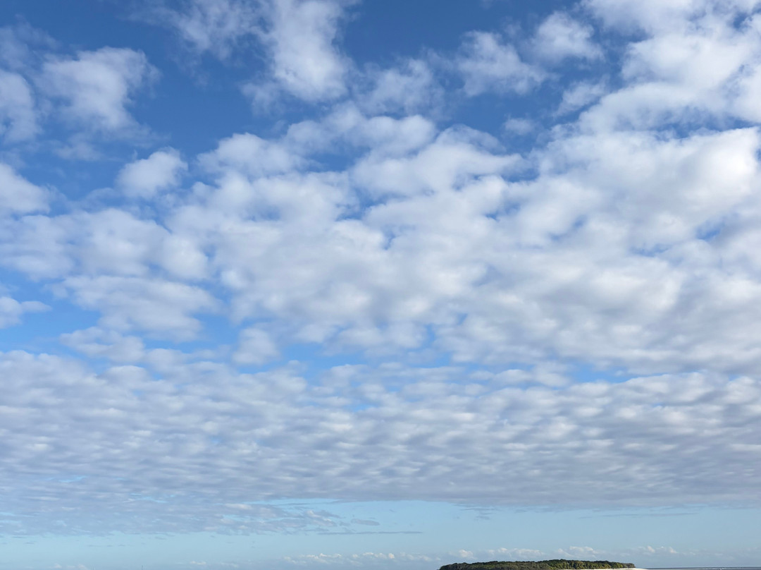1770reef-1770镇必去景点