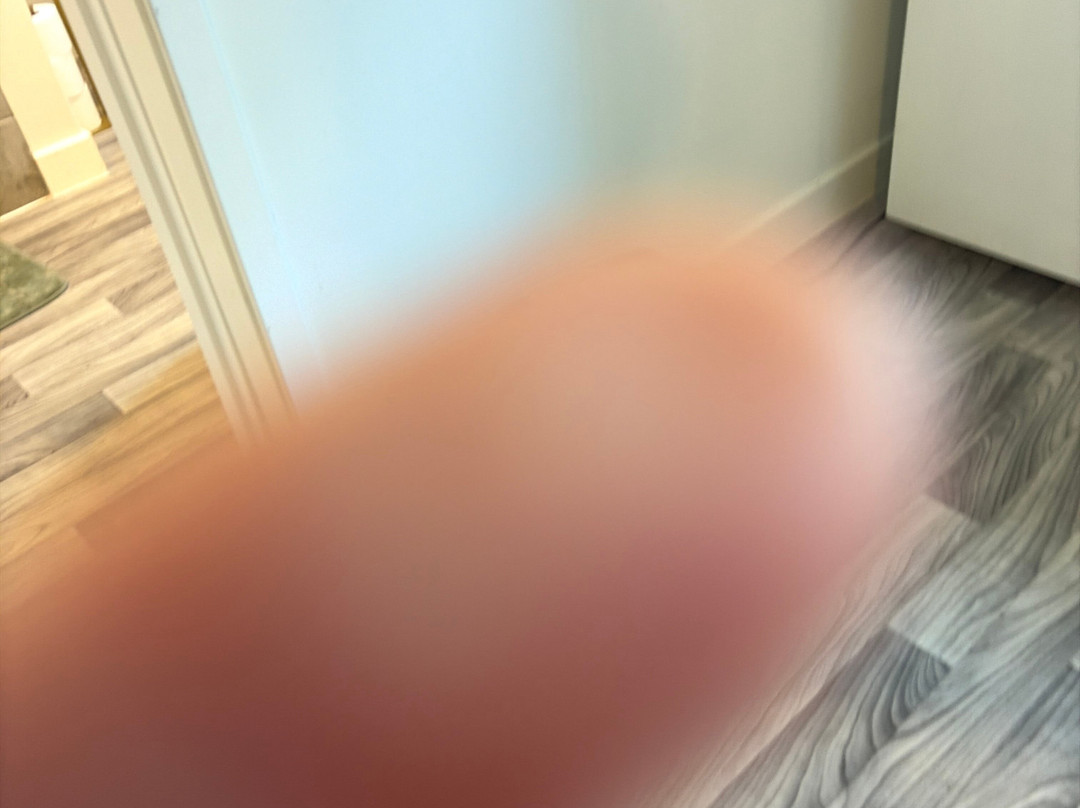 开普吉拉多西梨树旅馆主图