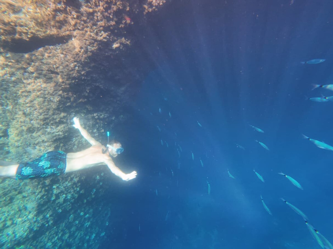 Cilento Snorkeling-Marina di Camerota必去景点