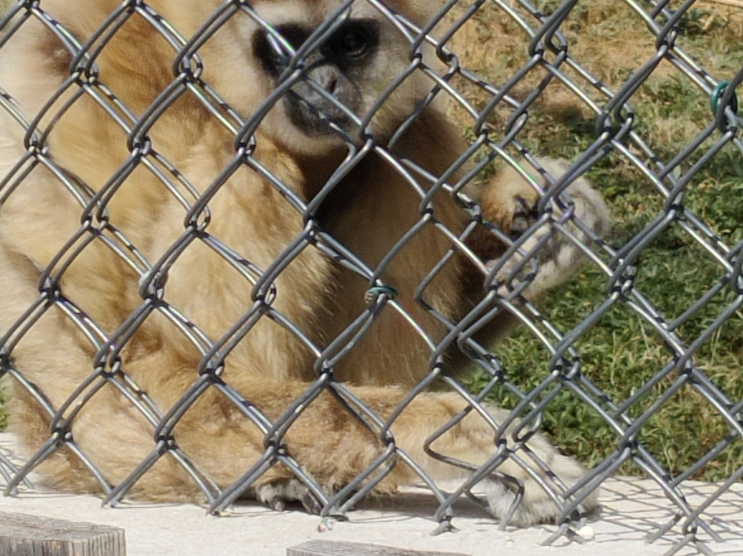 La Tanière - Zoo Refuge-Nogent-le-Phaye必去景点
