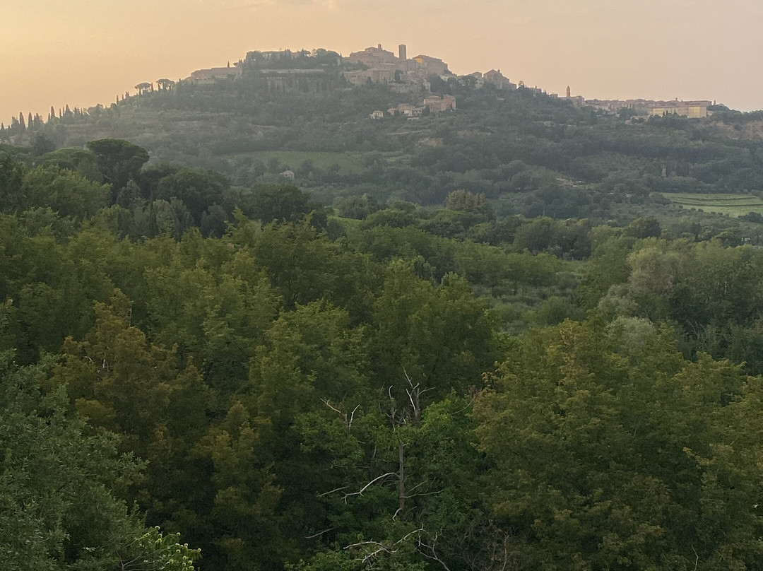 Fattoria Pulcino-蒙特普尔恰诺必去景点