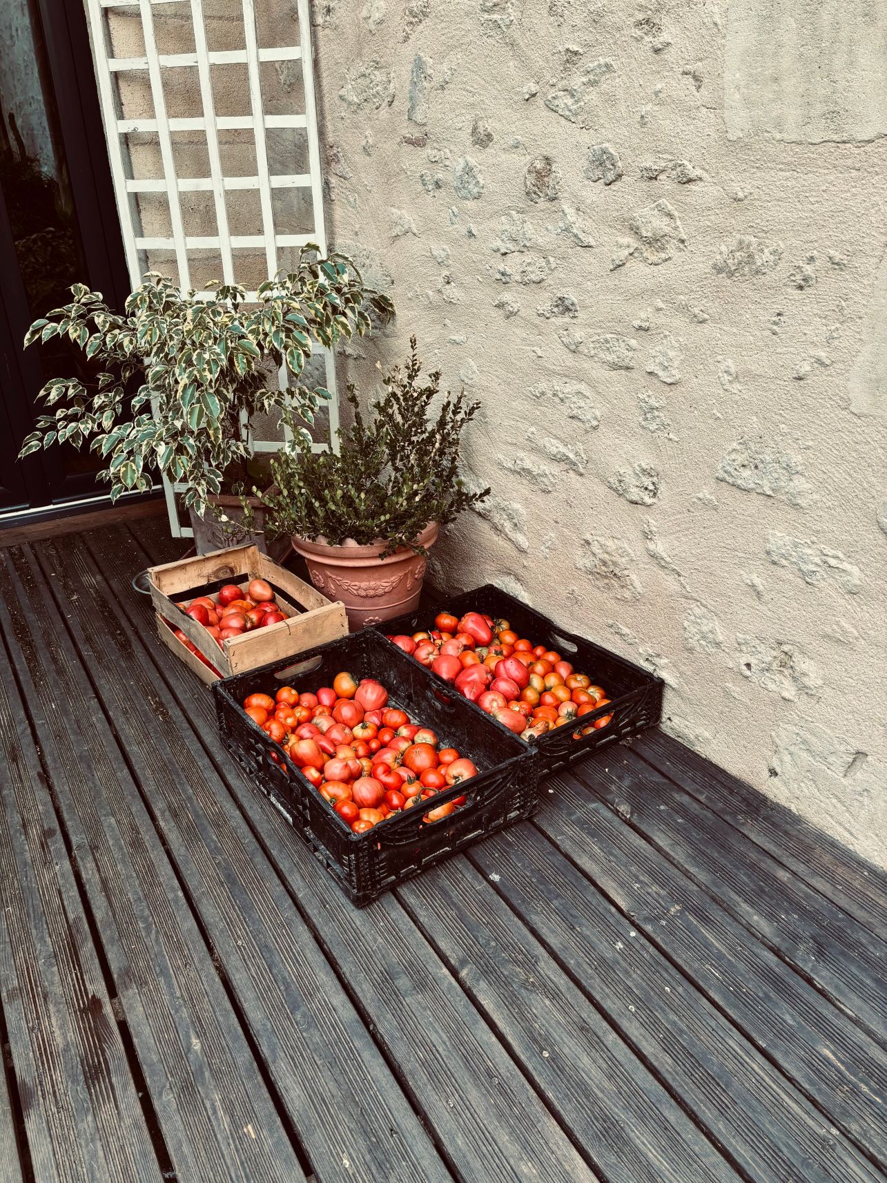Chambres en Vigne-旅行者