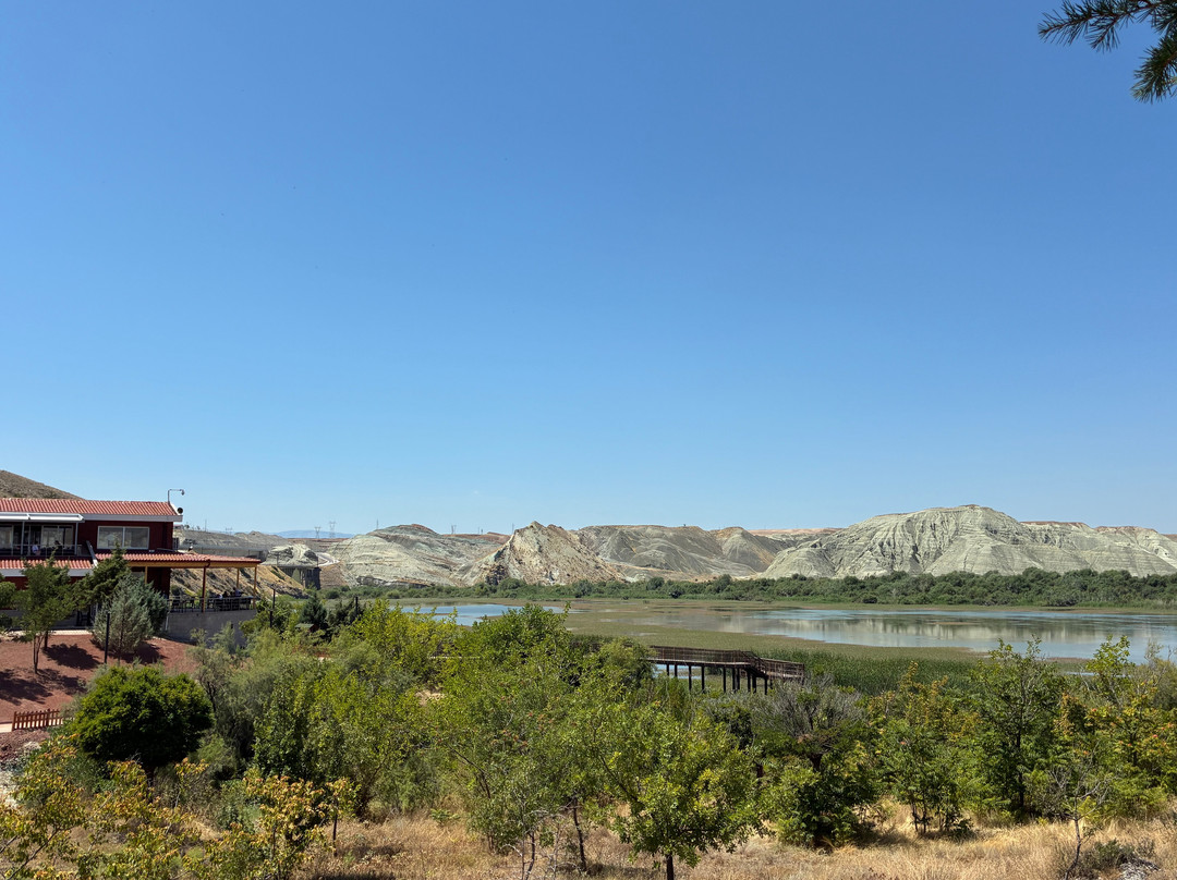 Nallıhan Bird Sanctuary-Nallihan必去景点