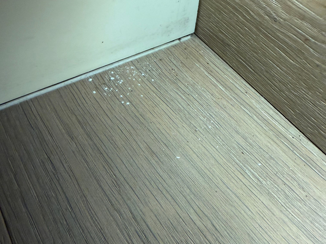 麦森酒馆及酒店主图