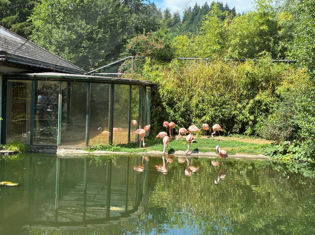 Tropiquarium de Servion-Servion必去景点