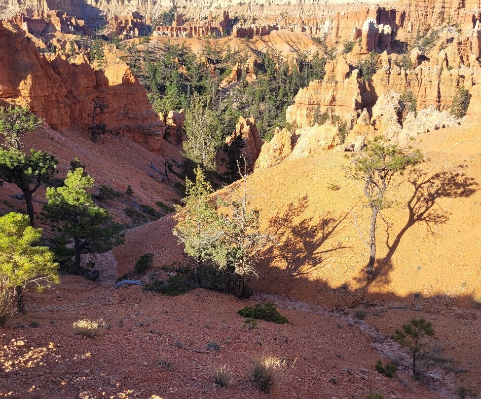 Canyon Trail Rides-特罗皮克必去景点