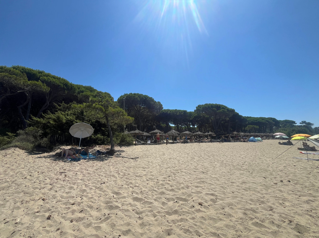 Casetta Civinini-Punta Ala必去景点