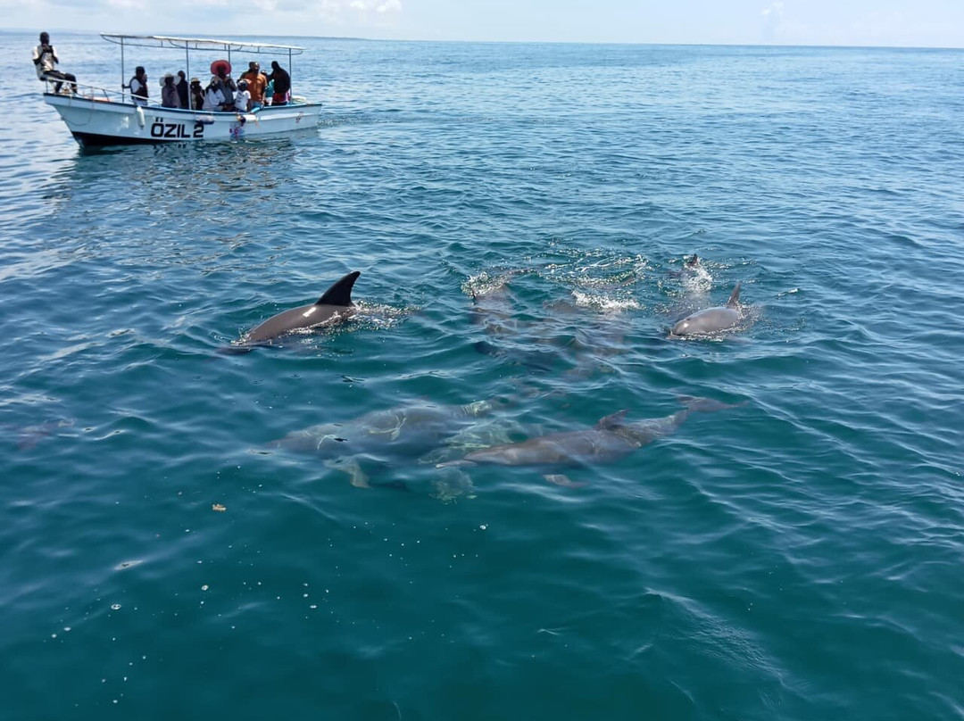 Wasini sea safaris-Wasini Island必去景点