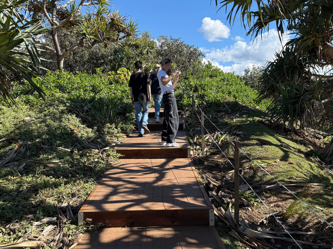 Fingal Head Lighthouse-Fingal Head必去景点