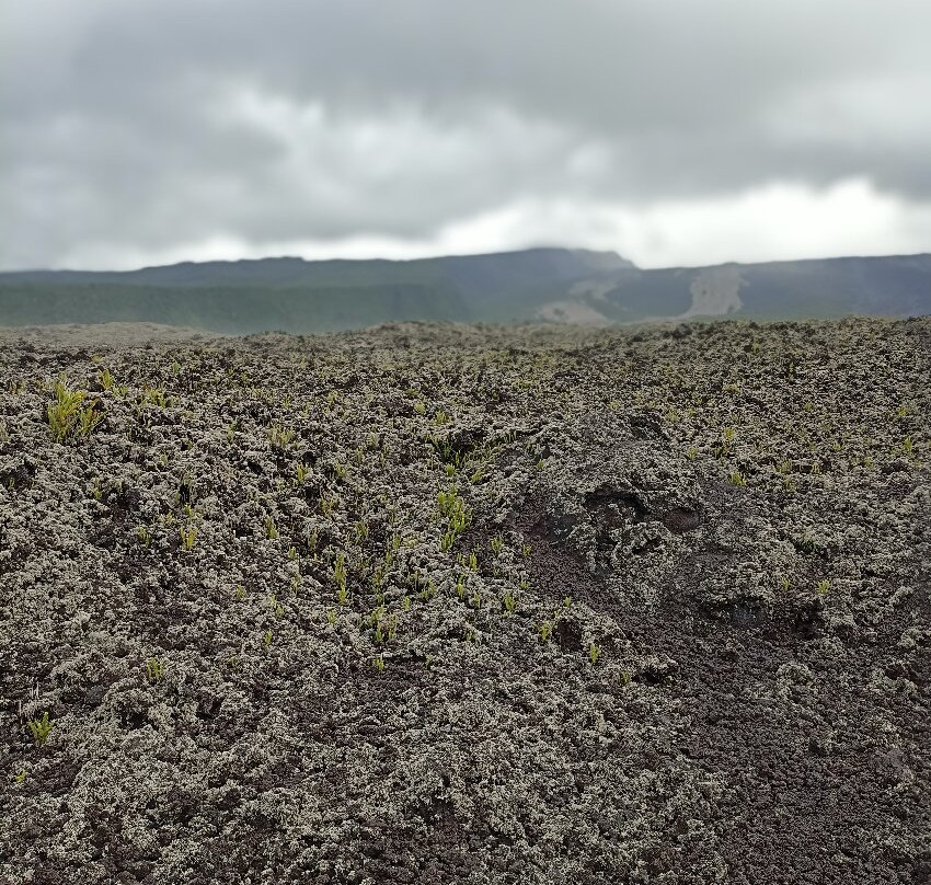 Tunnels de lave Réunion: Volcanorun-Saint-Philippe必去景点