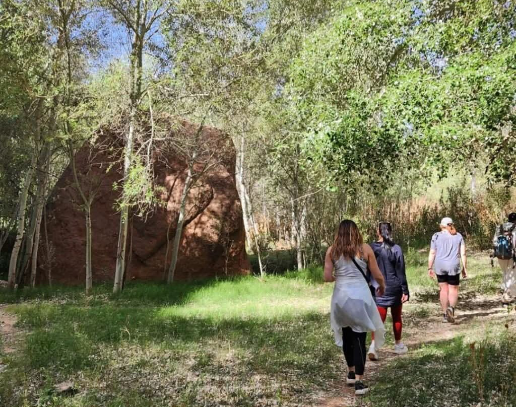 Travel Trekking Morocco-Saint-Sulpice-sur-Leze必去景点