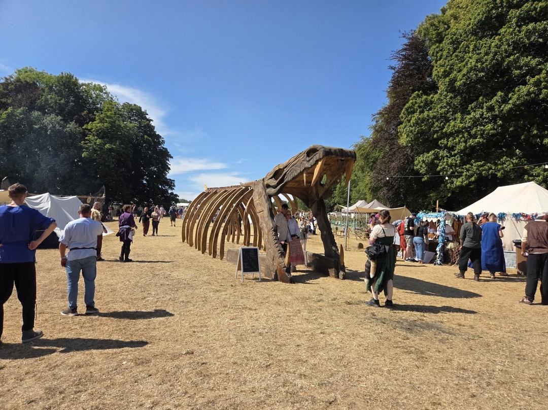The Viking Festival 25&26 June 2022-德比必去景点