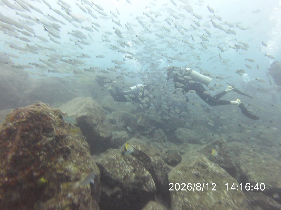 Panama Dive Center-Santa Catalina必去景点