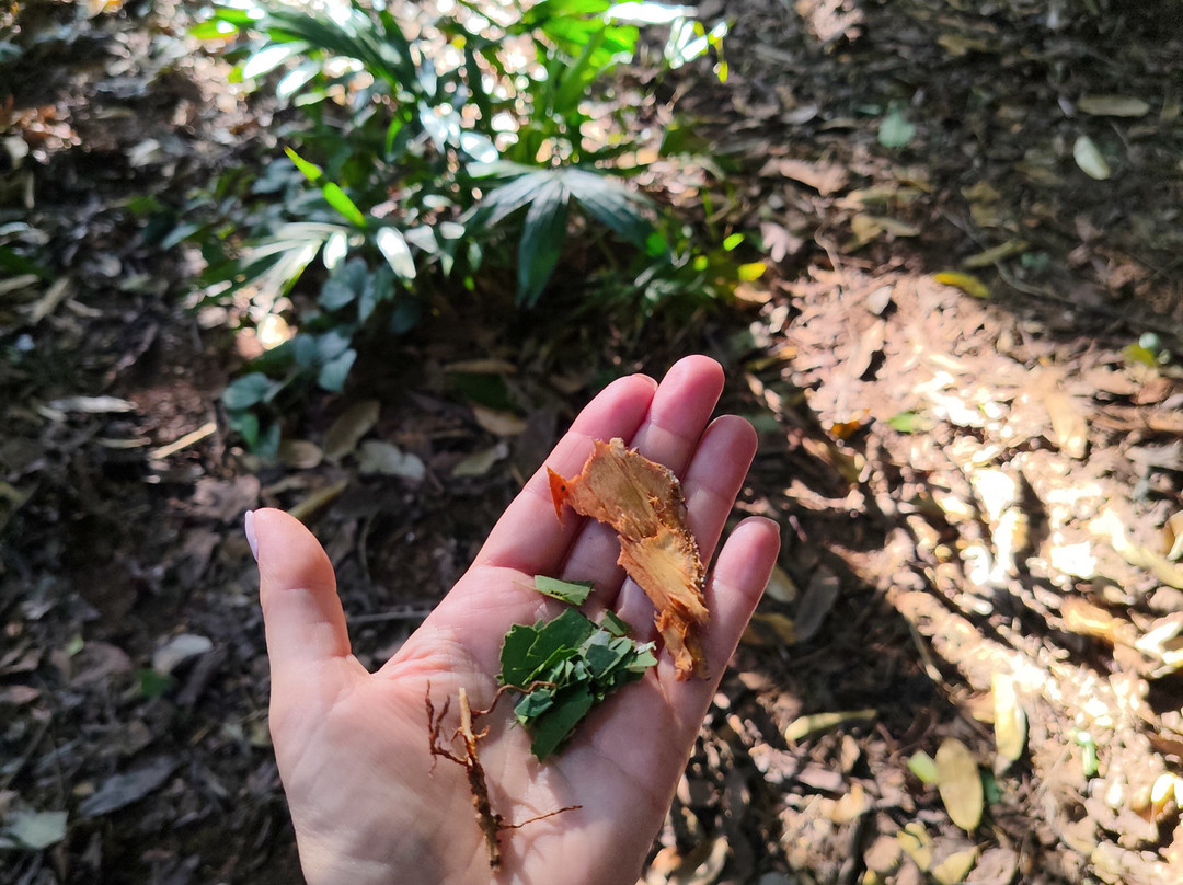 Jambo Spice Farm-桑给巴尔市必去景点