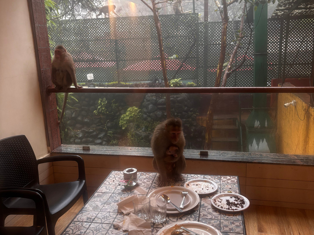 Hotel Shreyas主图