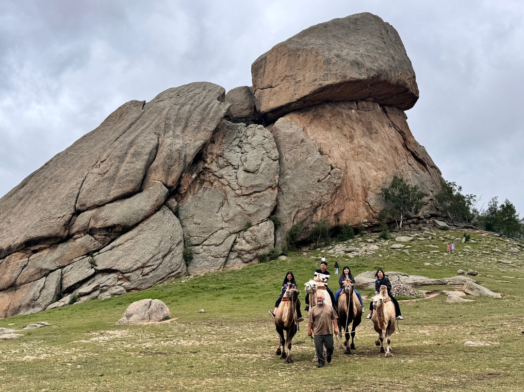 Selena Travel Mongolia-乌兰巴托必去景点