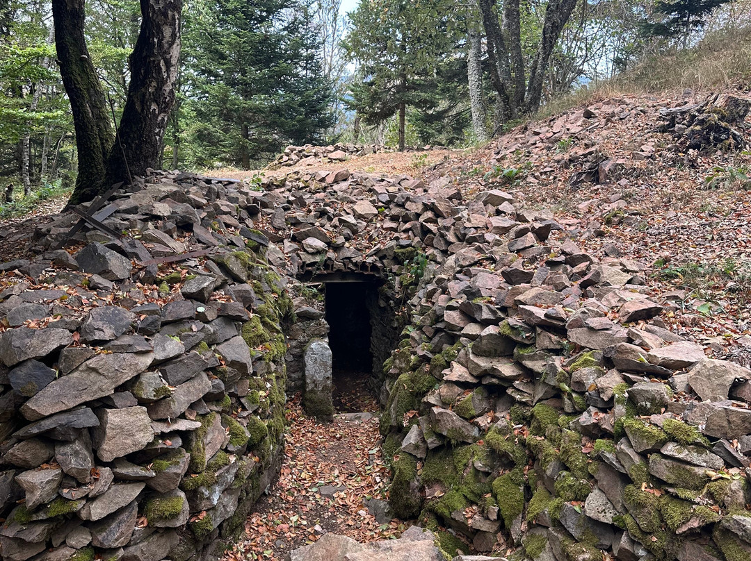 Hartmannswillerkopf-Wattwiller必去景点