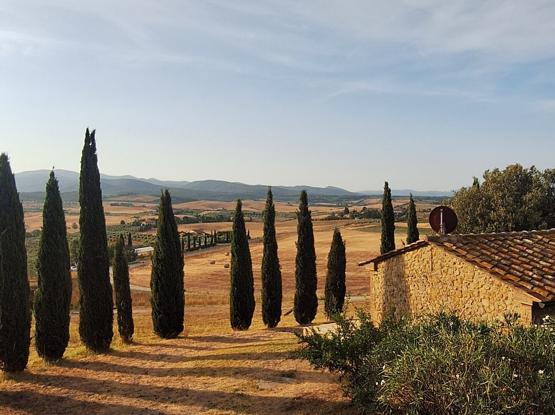 Il Poggio