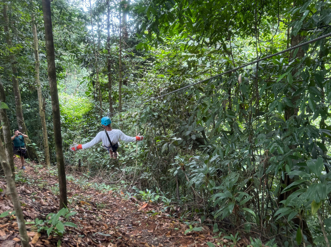 Canopy Safari-克波斯必去景点