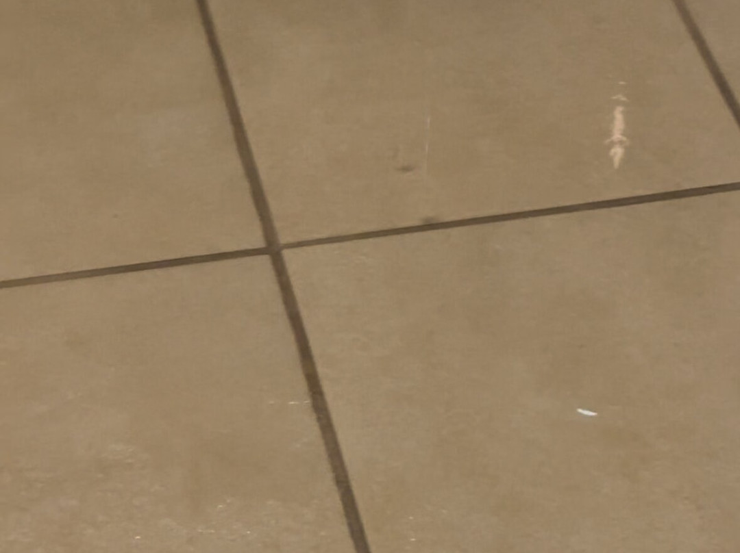 阿纳海姆大狼屋酒店主图