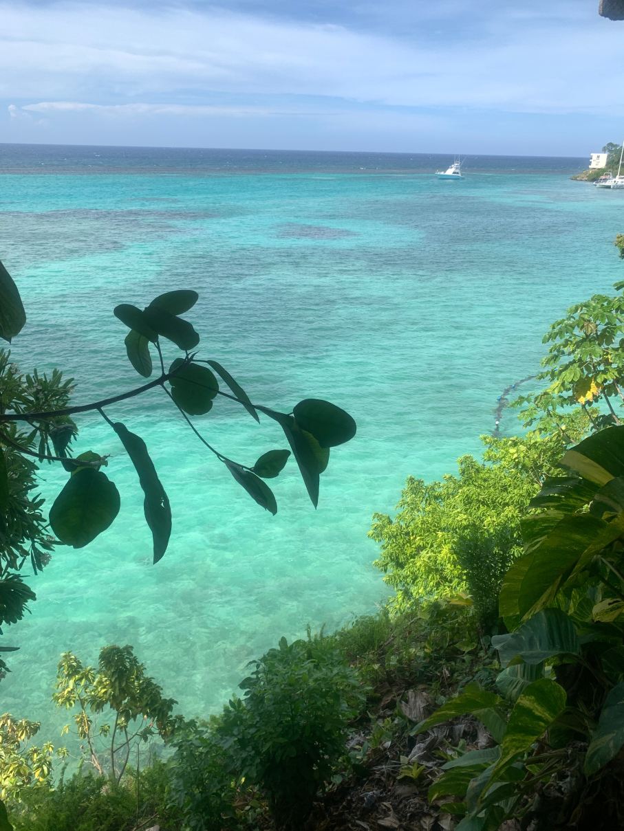 芙蓉小屋酒店-旅行者
