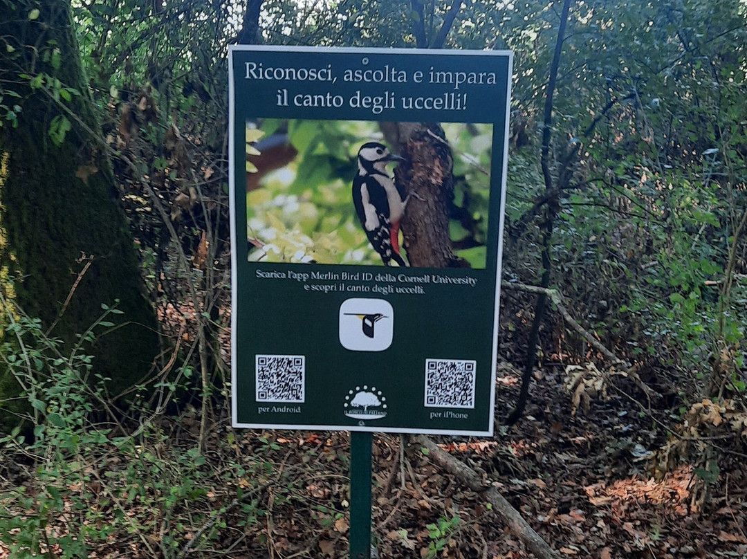 Il Bosco di Paliano-Paliano必去景点